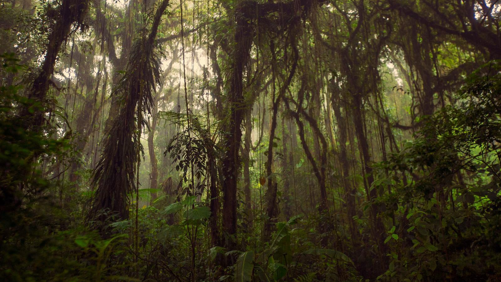 Ladies Only - Highlights of Costa Rica